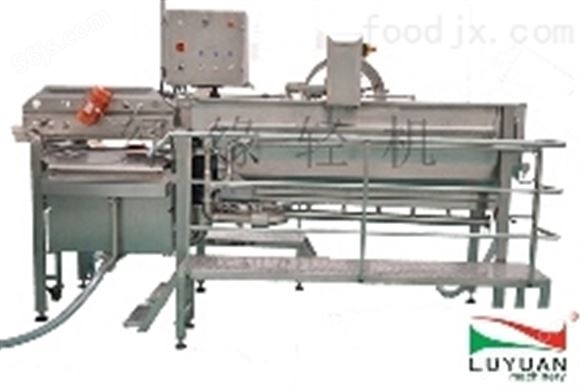 LY-QXJ-DGN-A1型蔬菜清洗机厂家