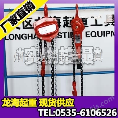 GEN手扳葫芦2T/1.5m 韩国生产手扳葫芦DLS 020【*】