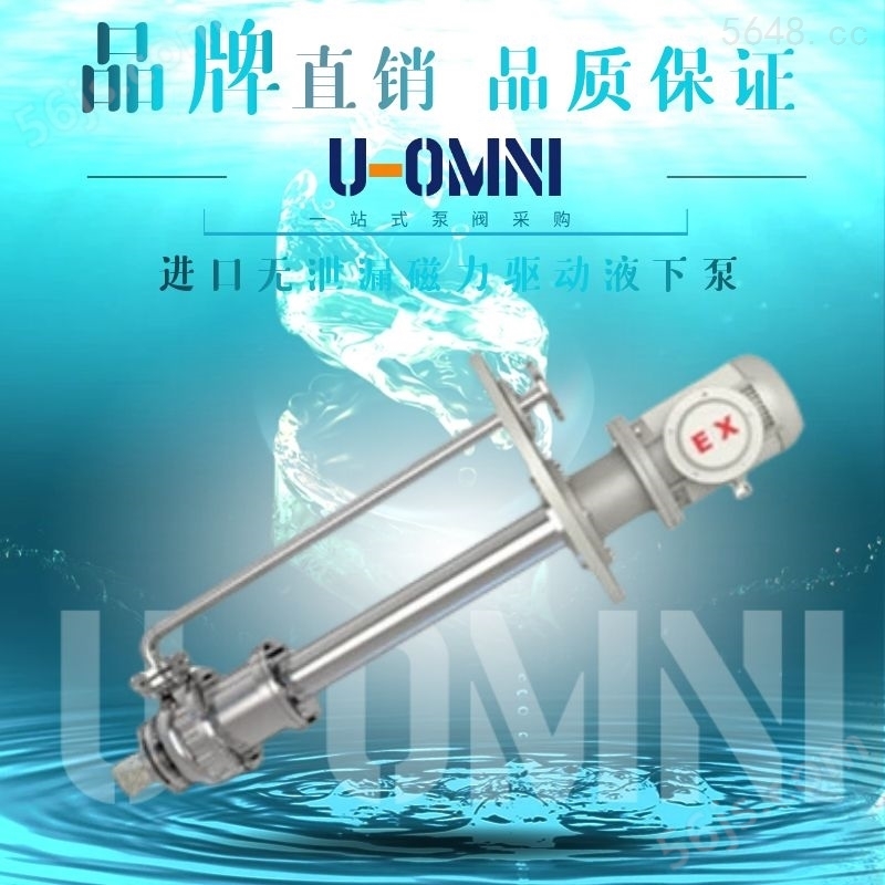 无泄漏磁力保(高)温泵-美国欧姆尼U-OMNI