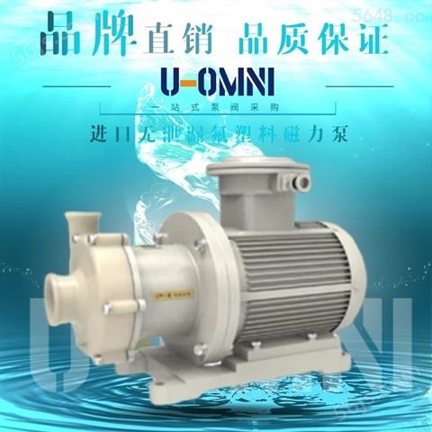 无泄漏磁力保(高)温泵-美国欧姆尼U-OMNI