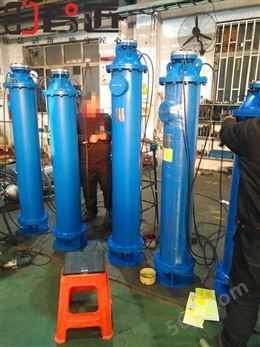 湖南智匠牌200QJX20-600/30下吸式液下泵