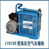 LYX100B集装箱船配置高压空气压缩机