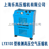 LYX100CNG汽车检测高压空气压缩机